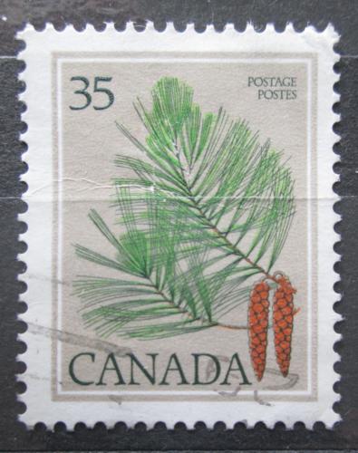 Poštová známka Kanada 1979 Borovice vejmutovka Mi# 719