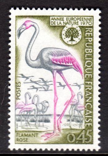 Poštovní známka Francie 1970 Plameòák karibský, WWF Mi# 1704