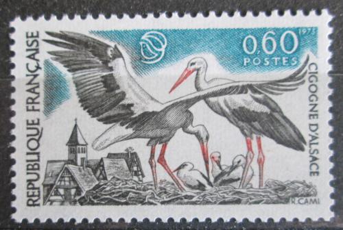 Poštová známka Francúzsko 1973 Bocian bílý Mi# 1831