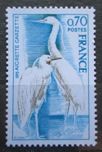 Poštová známka Francúzsko 1975 Volavka støíbøitá Mi# 1904
