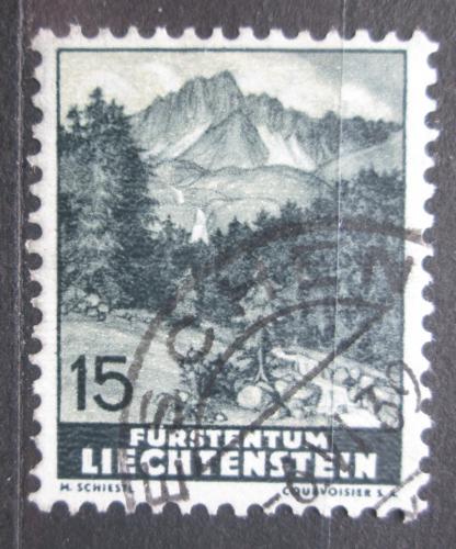 Poštová známka Lichtenštajnsko 1937 Naafkopf Mi# 159