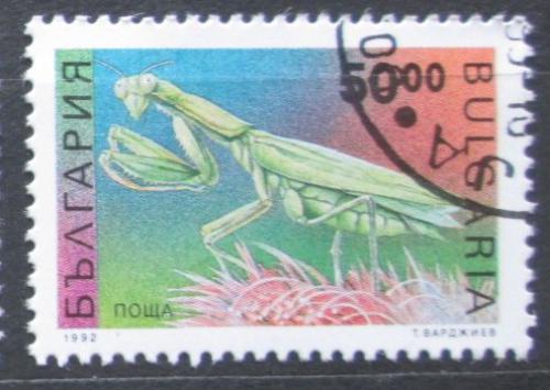 Poštová známka Bulharsko 1992 Kudlanka nábožná Mi# 4017