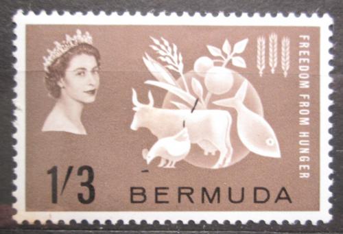 Poštová známka Bermudy 1963 Boj proti hladu Mi# 181