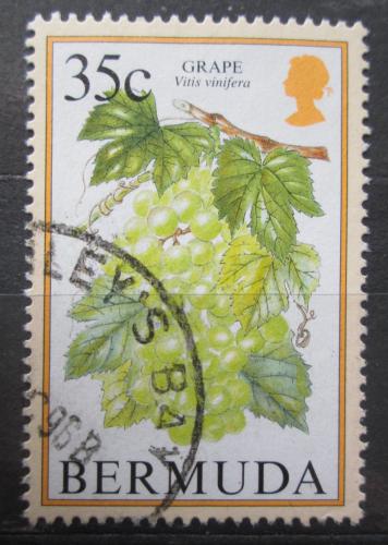 Poštová známka Bermudy 1998 Vinná réva Mi# 661 I