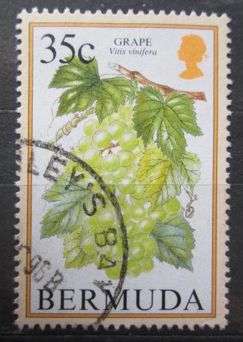 Potov znmka Bermudy 1998 Vinn rva Mi# 661 I
