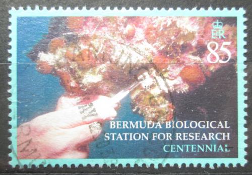 Poštová známka Bermudy 2003 Výzkumná biologická stanice Mi# 851