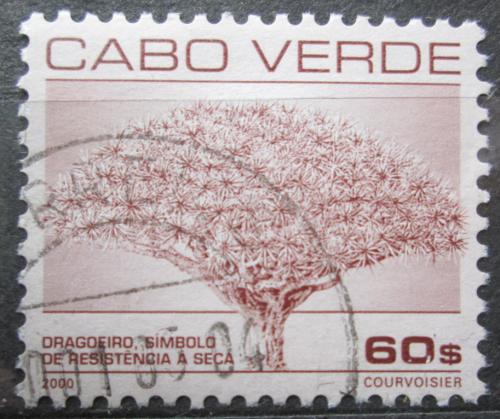 Poštová známka Kapverdy 2000 Draèí strom Mi# 779