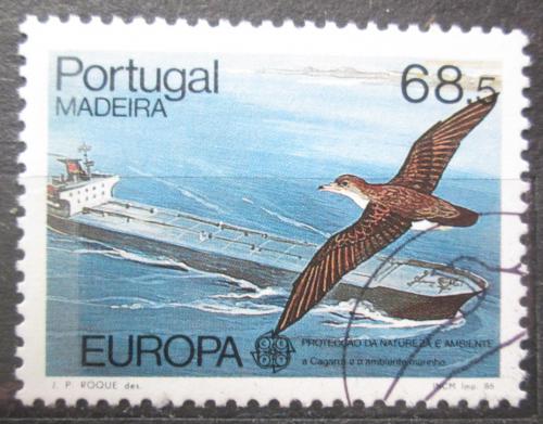 Poštová známka Madeira 1986 Buøòák šedý, Európa CEPT Mi# 106