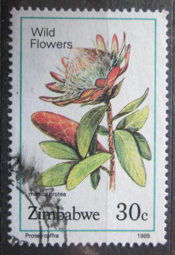 Poštová známka Zimbabwe 1989 Protea caffra Mi# 402