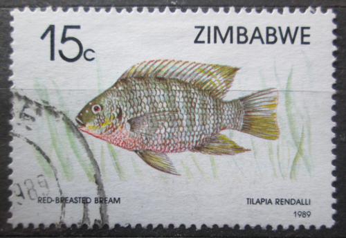 Poštová známka Zimbabwe 1989 Tilápie rendalli Mi# 406