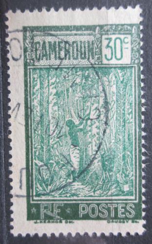 Poštová známka Kamerun 1927 Sbìr kauèuku Mi# 99