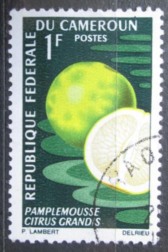 Poštová známka Kamerun 1967 Pomelo Mi# 506