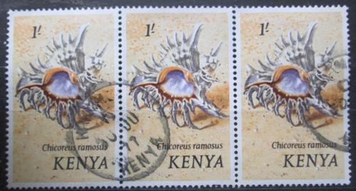 Poštové známky Keòa 1971 Chicoreus ramosus Mi# 45
