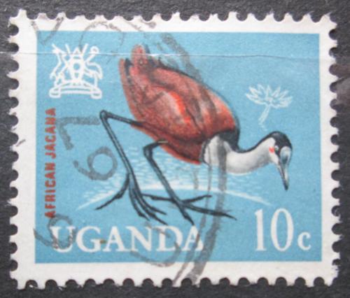 Poštová známka Uganda 1965 Ostnák africký Mi# 88