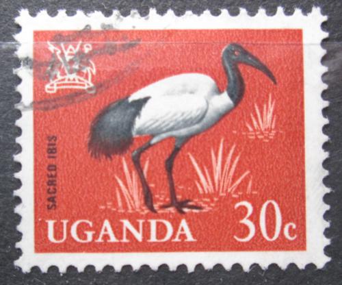 Poštová známka Uganda 1965 Ibis posvátný Mi# 91