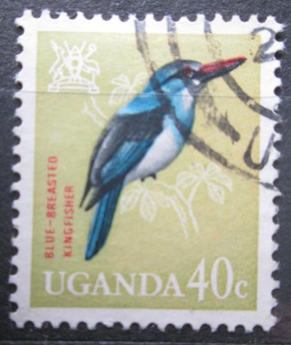 Poštová známka Uganda 1965 Ledòáèek malimbijský Mi# 92