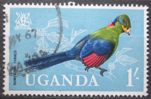 Poštová známka Uganda 1965 Turako horský Mi# 95