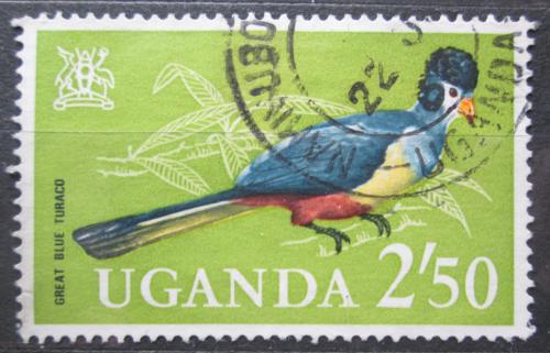 Poštová známka Uganda 1965 Turako velký Mi# 97