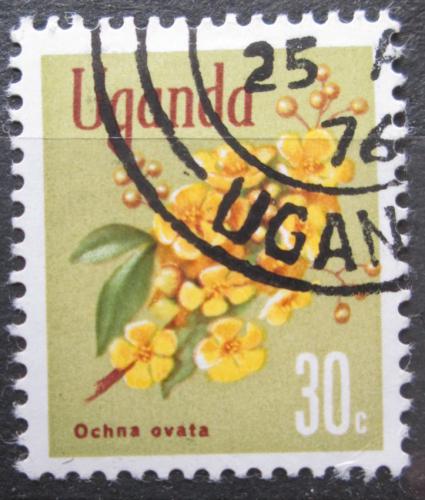 Poštová známka Uganda 1969 Ochna ovata Mi# 109