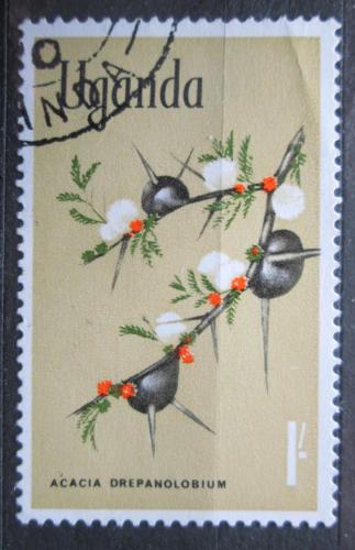 Poštová známka Uganda 1969 Acacia drepanolobium Mi# 114
