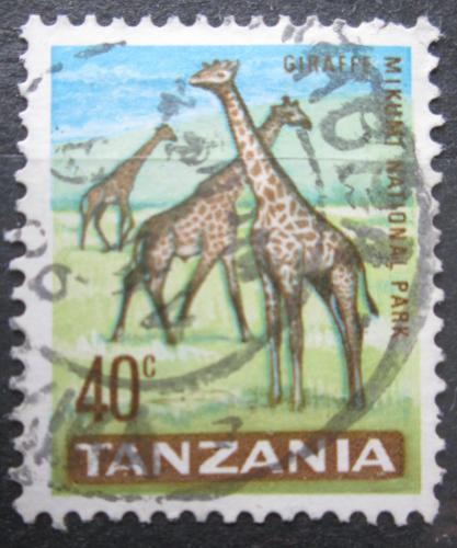 Poštová známka Tanzánia 1965 Žirafy Mi# 10