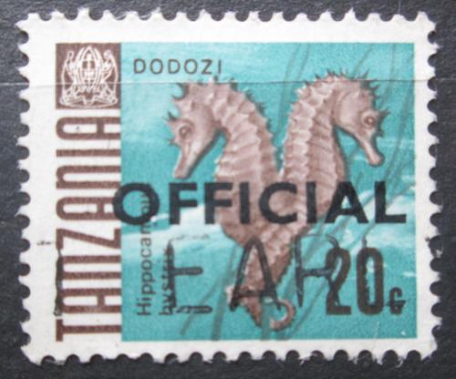 Poštová známka Tanzánia 1967 Koníèek ostnatý, úøední Mi# 12 I