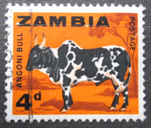 Poštová známka Zambia 1964 Krava Mi# 5