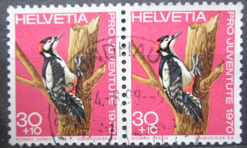Poštové známky Švýcarsko 1970 Strakapoud velký pár, Pro Juventute Mi# 938
