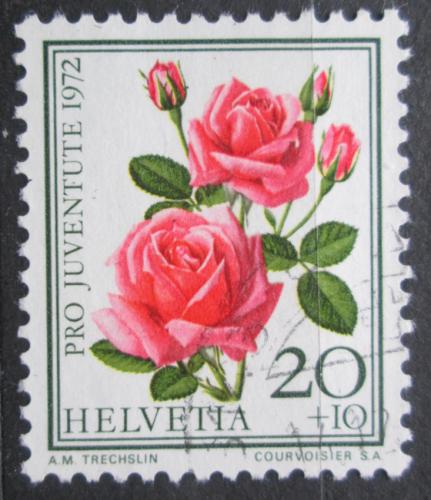 Poštová známka Švýcarsko 1972 Rùže, Pro Juventute Mi# 985