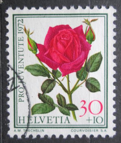 Poštová známka Švýcarsko 1972 Rùže, Pro Juventute Mi# 986