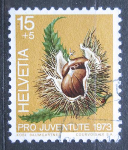 Poštová známka Švýcarsko 1973 Kaštanovník setý, Pro Juventute Mi# 1013
