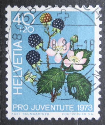 Poštová známka Švýcarsko 1973 Ostružiny, Pro Juventute Mi# 1015