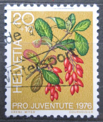 Poštová známka Švýcarsko 1976 Døiš�ál obecný, Pro Juventute Mi# 1083