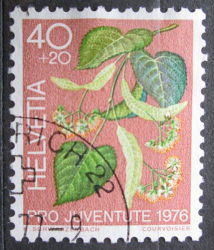 Poštová známka Švýcarsko 1976 Lípa velkolistá, Pro Juventute Mi# 1084