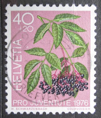 Poštová známka Švýcarsko 1976 Bez èerný, Pro Juventute Mi# 1085