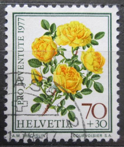 Poštová známka Švýcarsko 1977 Rùže, Pro Juventute Mi# 1114