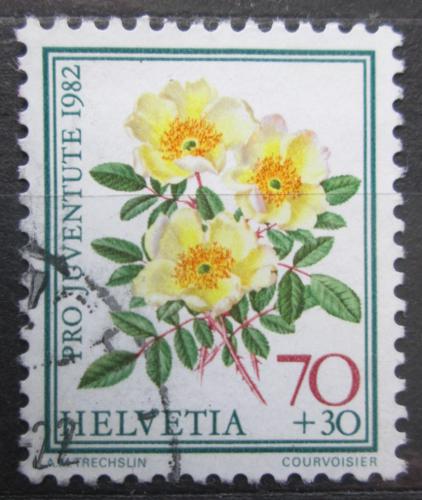 Poštová známka Švýcarsko 1982 Rùže, Pro Juventute Mi# 1239