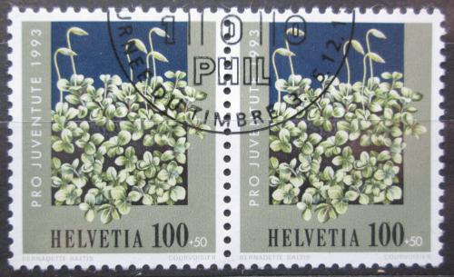 Poštové známky Švýcarsko 1993 Mìøík teèkovaný pár, Pro Juventute Mi# 1515