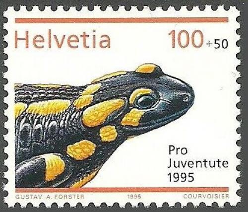 Poštová známka Švýcarsko 1995 Mlok skvrnitý, Pro Juventute Mi# 1570