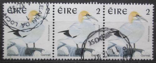 Poštové známky Írsko 1997 Terej bílý Mi# 1017 A