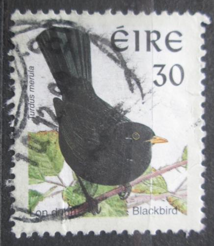 Poštová známka Írsko 1998 Kos èerný Mi# 1051 I xA