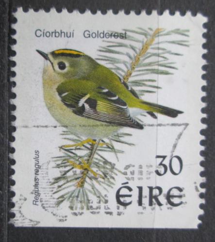 Poštová známka Írsko 1998 Krá¾íèek obecný Mi# 1100