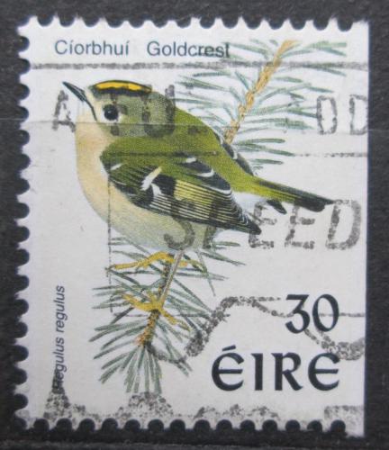Poštová známka Írsko 1998 Krá¾íèek obecný Mi# 1100 II 