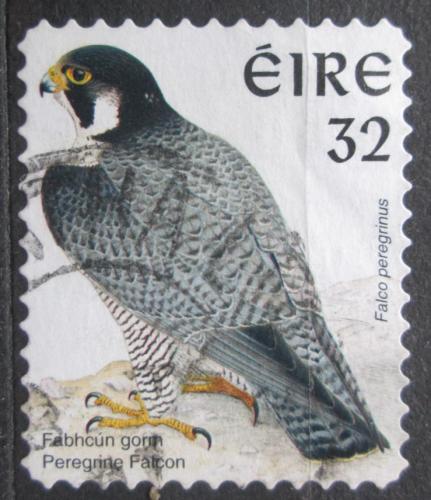Poštová známka Írsko 1997 Sokol stìhovavý Mi# 993