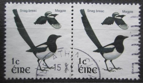 Poštové známky Írsko 2002 Straka obecná pár Mi# 1382 A