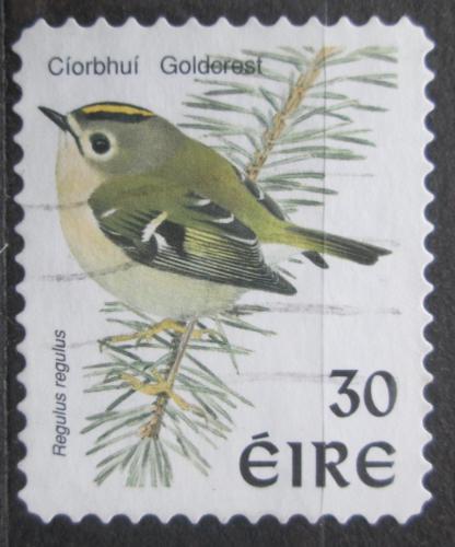Poštová známka Írsko 1998 Krá¾íèek obecný Mi# 1057