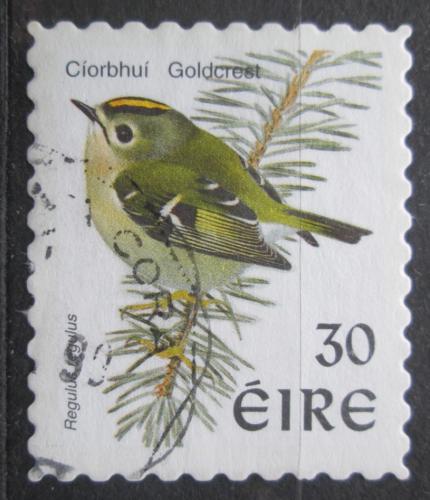 Poštová známka Írsko 1998 Krá¾íèek obecný Mi# 1057