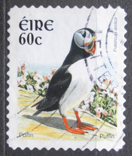 Poštová známka Írsko 2004 Papuchalk severní Mi# 1556