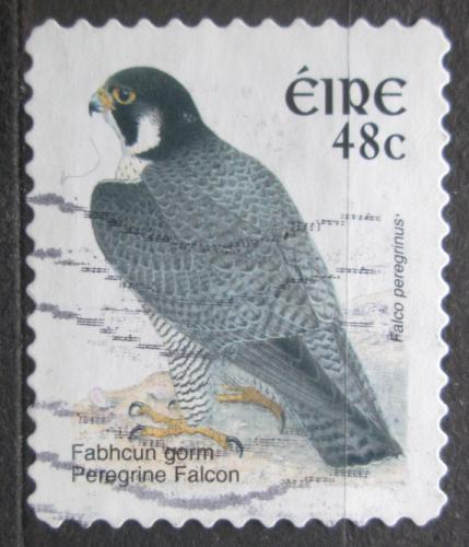 Poštová známka Írsko 2003 Sokol stìhovavý Mi# 1544