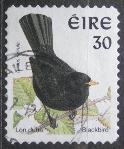 Poštová známka Írsko 1998 Kos èerný Mi# 1058
